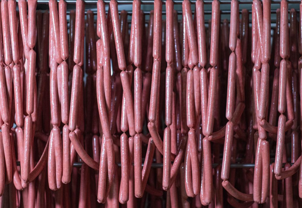 Rows of freshly made pork and beef sausages hanging in the shop